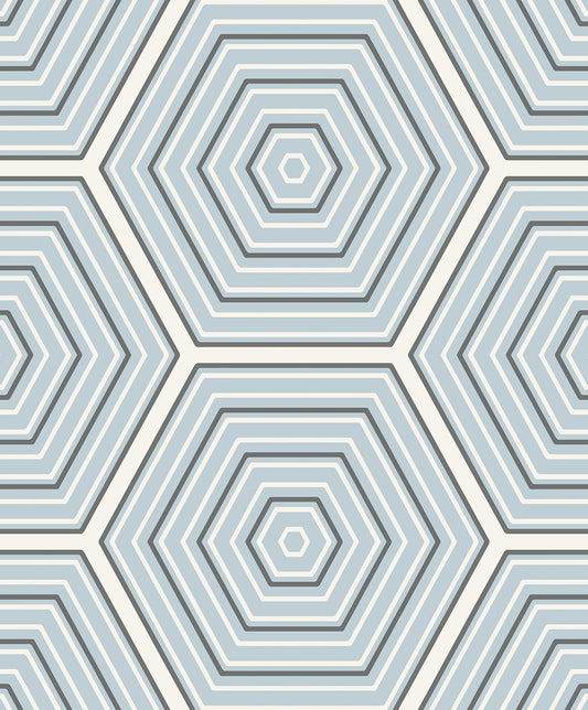 Etten Studios Etten Studios Online Hex Topography Geometric Contemporary Blue Matte Sidewall - ET11902