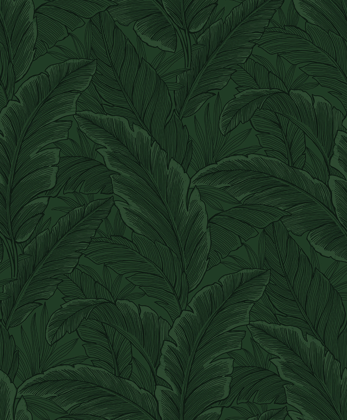 Etten Studios Etten Studios Online Gulf Tropical Leaves Palm Leaves Tropical Green Matte Sidewall - ET13004