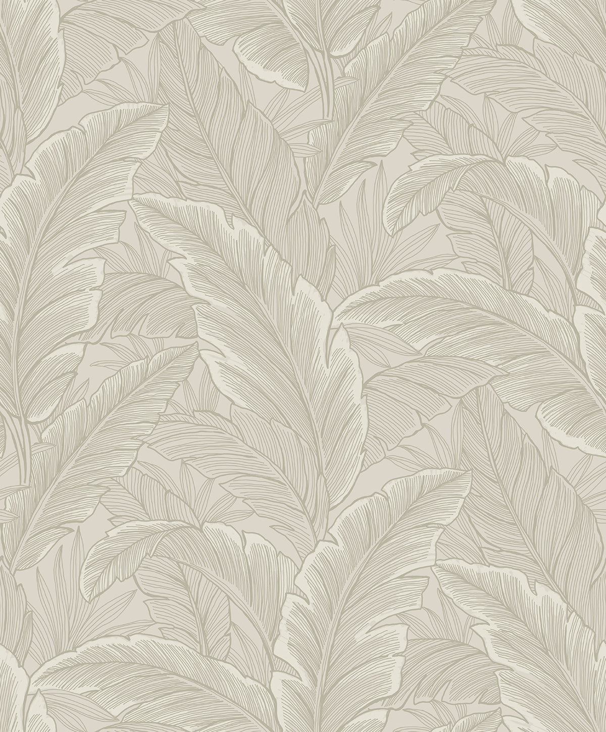 Etten Studios Etten Studios Online Gulf Tropical Leaves Palm Leaves Tropical Beige Matte Sidewall - ET13005