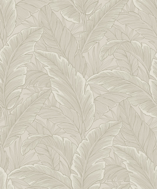 Etten Studios Etten Studios Online Gulf Tropical Leaves Palm Leaves Tropical Beige Matte Sidewall - ET13005