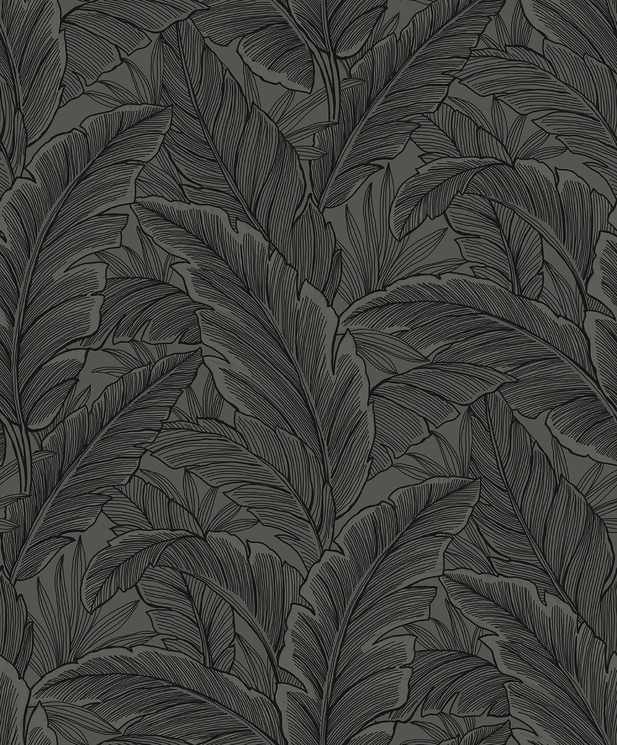 Etten Studios Etten Studios Online Gulf Tropical Leaves Palm Leaves Tropical Grey Matte Sidewall - ET13008