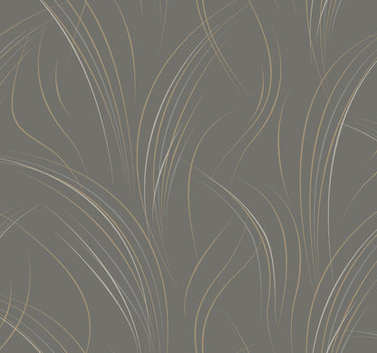 York Wallcoverings Candice Olson Casual Elegance Graceful Wisp Charcoal Wallpaper  Geometrics Greys   - EV3936