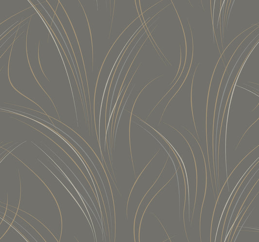 York Wallcoverings Candice Olson Casual Elegance Graceful Wisp Charcoal Wallpaper  Geometrics Greys   - EV3936