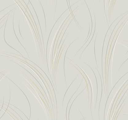 York Wallcoverings Candice Olson Casual Elegance Graceful Wisp Blonde Wallpaper  Geometrics Beiges   - EV3937