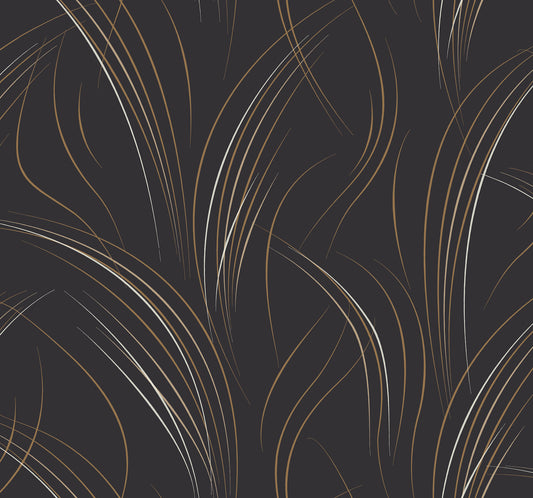 York Wallcoverings Candice Olson Casual Elegance Graceful Wisp Black Wallpaper  Geometrics Blacks   - EV3938