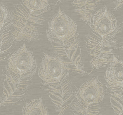 York Wallcoverings Candice Olson Casual Elegance Regal Peacock Mink Wallpaper  Animals Greys   - EV3941