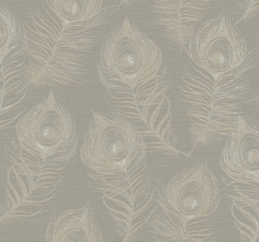 York Wallcoverings Candice Olson Casual Elegance Regal Peacock Mink Wallpaper  Animals Greys   - EV3941