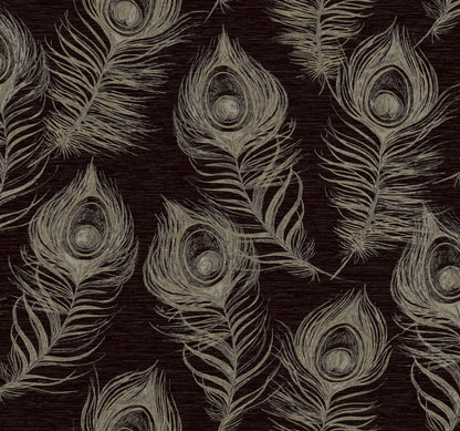 York Wallcoverings Candice Olson Casual Elegance Regal Peacock Black Wallpaper  Animals Blacks   - EV3942