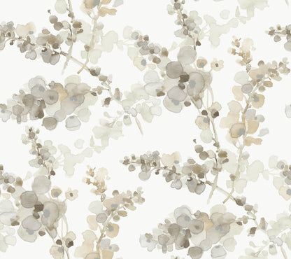 York Wallcoverings Candice Olson Casual Elegance Blossom Fling Blonde Wallpaper  Botanical Browns   - EV3973