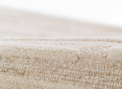 Taupe-beige plush rug close-up with dense cut-pile texture for a soft, neutral floor covering.