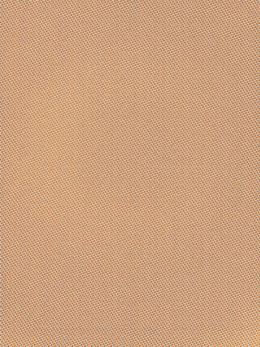 SCALAMANDRE  NORTH DOWNS FABRIC SPICED PEACH   - EY 000213ND