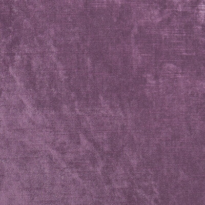 CLARKE AND CLARKE VELVET TEXTURE ,,   - F1069/04.CAC.0