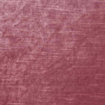 CLARKE AND CLARKE VELVET TEXTURE ,,   - F1069/06.CAC.0