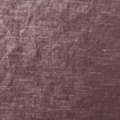 CLARKE AND CLARKE VELVET TEXTURE ,,   - F1069/33.CAC.0