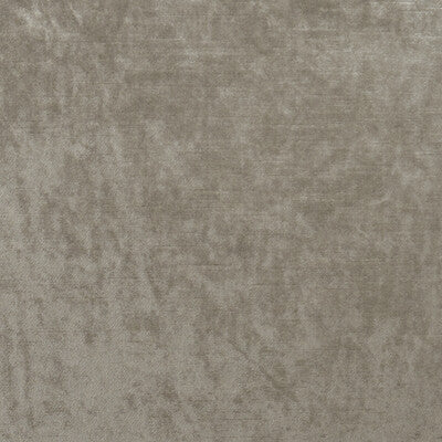 CLARKE AND CLARKE VELVET TEXTURE ,,   - F1069/39.CAC.0