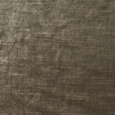 CLARKE AND CLARKE VELVET TEXTURE ,,   - F1069/40.CAC.0