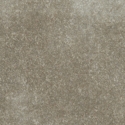 CLARKE AND CLARKE VELVET TEXTURE ,,   - F1085/08.CAC.0