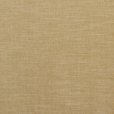 CLARKE AND CLARKE CHENILLE TEXTURE ,,   - F1099/01.CAC.0