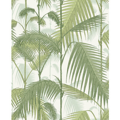 COLE & SON PRINT TROPICAL GREEN,OLIVE GREEN,   - F111/2007L.CS.0