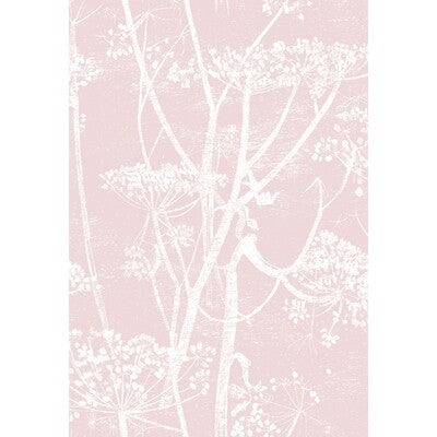 COLE & SON PRINT MODERN PINK,PINK,   - F111/5018.CS.0