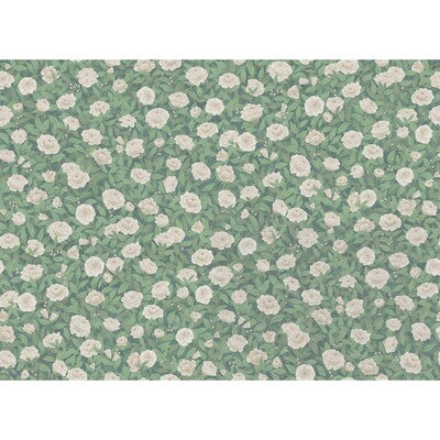 COLE & SON PRINT BOTANICAL & FLORAL WHITE,SAGE,OLIVE GREEN   - F121/2010.CS.0