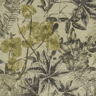 CLARKE AND CLARKE PRINT BOTANICAL & FLORAL ,,   - F1301/01.CAC.0