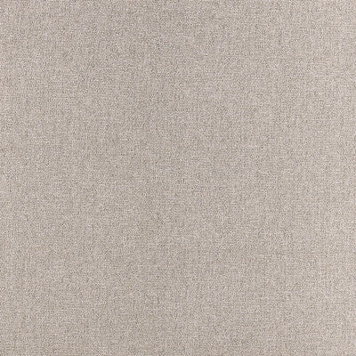 CLARKE AND CLARKE  TEXTURE BEIGE,IVORY,SILVER   - F1416/11.CAC.0