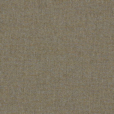 CLARKE AND CLARKE  TEXTURE GREY,GOLD,   - F1422/01.CAC.0