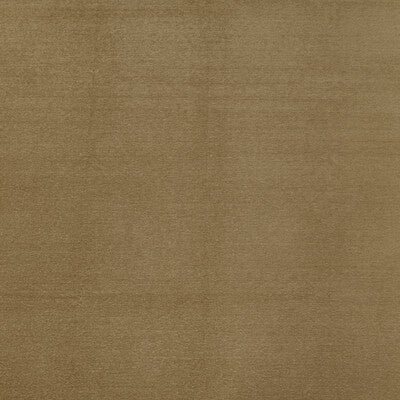 CLARKE AND CLARKE CHENILLE TEXTURE BEIGE,BEIGE,   - F1423/15.CAC.0