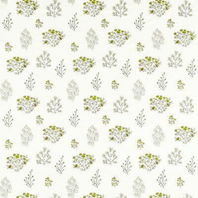 CLARKE AND CLARKE EMBROIDERY  WHITE,CHARTREUSE,GREY   - F1431/02.CAC.0