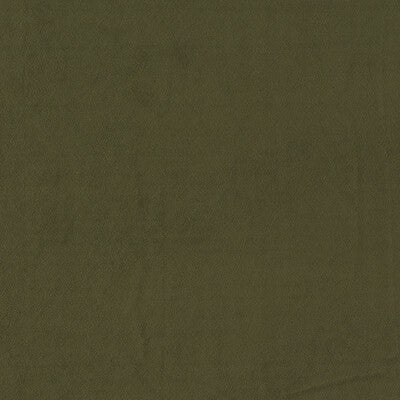 CLARKE AND CLARKE VELVET SOLID GREEN,,   - F1511/08.CAC.0