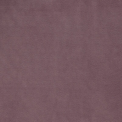 CLARKE AND CLARKE VELVET SOLID LAVENDER,PURPLE,   - F1511/15.CAC.0