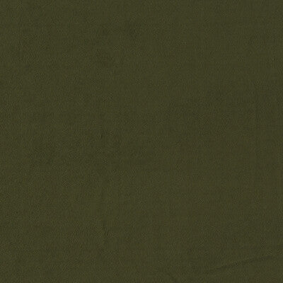 CLARKE AND CLARKE VELVET SOLID GREEN,,   - F1511/16.CAC.0