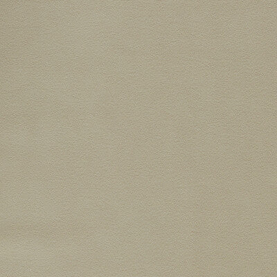 CLARKE AND CLARKE VELVET SOLID BEIGE,TAUPE,   - F1511/23.CAC.0