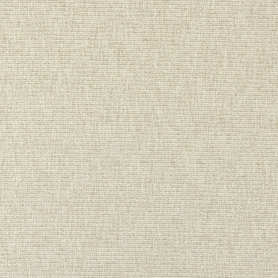 CLARKE AND CLARKE  TEXTURE BEIGE,NEUTRAL,   - F1527/05.CAC.0