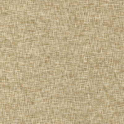 CLARKE AND CLARKE CHENILLE TEXTURE BEIGE,WHEAT,   - F1528/01.CAC.0