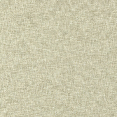 CLARKE AND CLARKE CHENILLE TEXTURE BEIGE,TAUPE,   - F1528/05.CAC.0