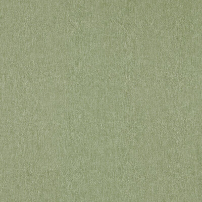 CLARKE AND CLARKE  TEXTURE GREEN,SAGE,   - F1572/20.CAC.0