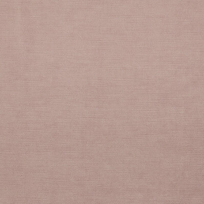 CLARKE AND CLARKE VELVET TEXTURE PINK,,   - F1583/03.CAC.0