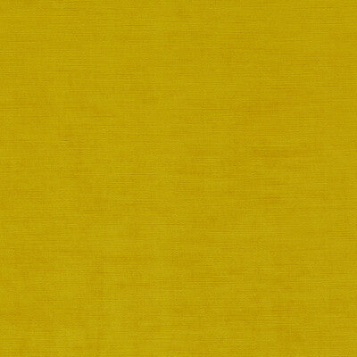 CLARKE AND CLARKE VELVET TEXTURE YELLOW,CHARTREUSE,   - F1583/05.CAC.0