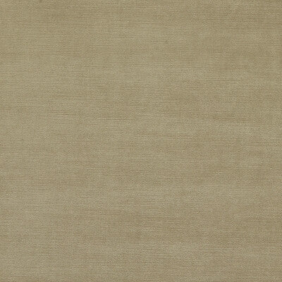 CLARKE AND CLARKE VELVET TEXTURE TAUPE,BEIGE,   - F1583/07.CAC.0