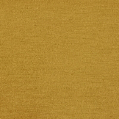 CLARKE AND CLARKE VELVET TEXTURE YELLOW,GOLD,   - F1583/13.CAC.0