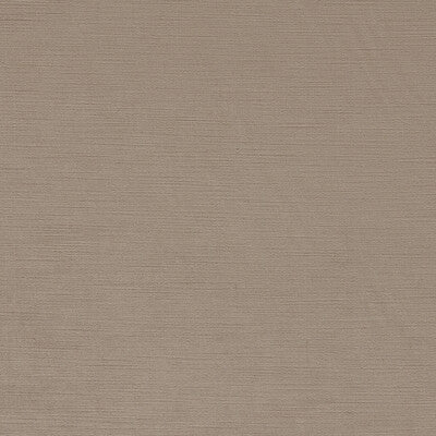 CLARKE AND CLARKE VELVET TEXTURE BEIGE,,   - F1583/15.CAC.0