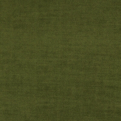 CLARKE AND CLARKE VELVET TEXTURE GREEN,OLIVE GREEN,   - F1583/16.CAC.0