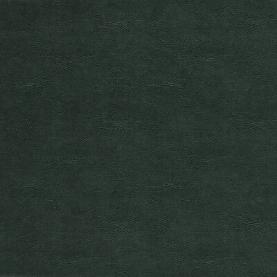 CLARKE AND CLARKE VINYL/FAUX LEATHER TEXTURE EMERALD,GREEN,   - F1598/05.CAC.0