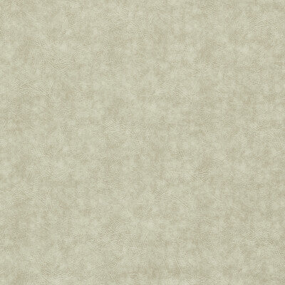 CLARKE AND CLARKE VINYL/FAUX LEATHER TEXTURE TAUPE,BEIGE,   - F1598/10.CAC.0