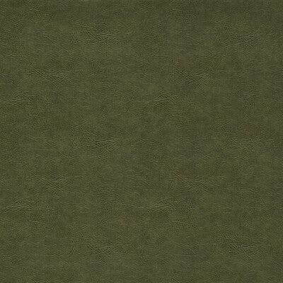 CLARKE AND CLARKE VINYL/FAUX LEATHER TEXTURE GREEN,OLIVE GREEN,   - F1598/12.CAC.0