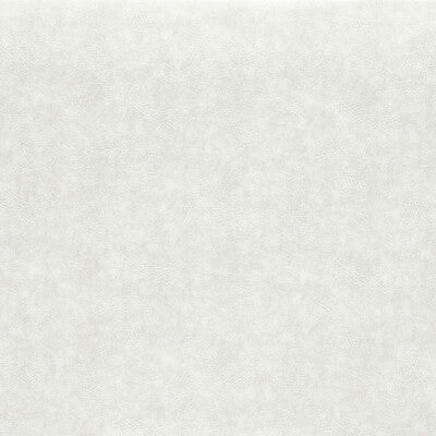 CLARKE AND CLARKE VINYL/FAUX LEATHER TEXTURE IVORY,,   - F1598/13.CAC.0