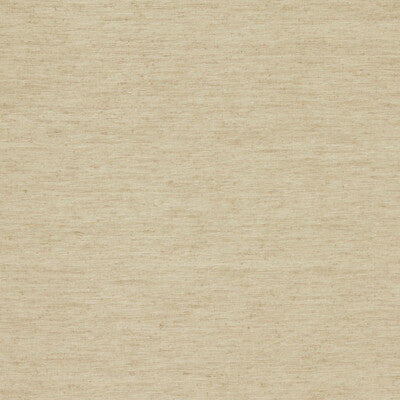 CLARKE AND CLARKE  TEXTURE BEIGE,,   - F1608/02.CAC.0