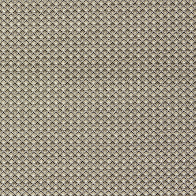 CLARKE AND CLARKE CHENILLE SMALL SCALE GREY,TAUPE,BLACK   - F1617/02.CAC.0